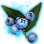 Eisodem-Beeren der Blüte icon