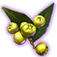 Goldschein-Beeren des Keimens icon