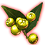 Goldschein-Beeren des Wachstums icon