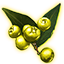 Goldschein-Beeren der Reife icon