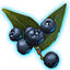 Onyxglanz-Beeren der Blüte icon