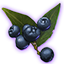 Onyxglanz-Beeren des Keimens icon