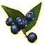 Onyxglanz-Beeren der Reife icon