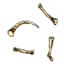 Huesos de adivinación icon