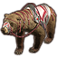 Mara's Awe Bear Icon icon