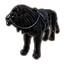 Black Senche-Lion icon