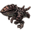 Pangrit de guerre rayé Icon
