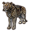 Senche-Leopard icon
