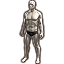 Stone-Nest Orator Body Paint Icon icon