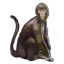 Blackwood Monkey Icon icon
