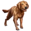 Furniture icon for Bravil Retriever