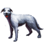 Whiterun Wolfhound Icon icon