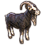Sanguine's Black Goat icon
