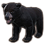 Black Bear Cub icon