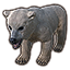 Snow Bear Cub icon