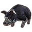 Psijic Domino Pig Icon icon