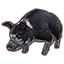 Furniture icon for Psijic Domino Pig