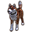 Copperback Bear-Dog icon