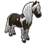 Scruffy Skyrim Paint Pony Icon icon