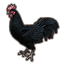 Daemon Cockerel icon