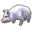 Cerdito perlado icon