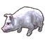 Furniture icon for Pink Pearl Pig