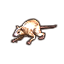 Abecean Ship Rat Icon icon