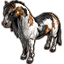 Poni pinto arenthiano Icon
