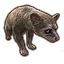 Furniture icon for Алинорский кольцехвостый енот