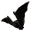 Shadowswift Bat icon