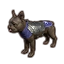 bretonischer Terrier aus dem Bündnis icon