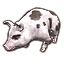 Bruma Spotted Pig icon
