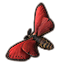 Carmine Wood Moth icon