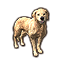 Labrador de Chorrol Icon
