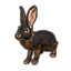 Liebre de Elinhir Icon