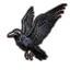 Augenfrost-Rabe Icon icon