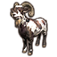 Whiterun Mottled Goat icon