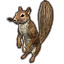 écureuil de chêne-graht icon