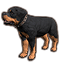 Heartland Butcher's Dog icon