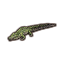 Jeune crocodile de la Keel-Sakka Icon icon