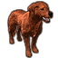 Retriever du Weald Occidental Icon icon