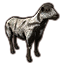 Mottled Sheep icon