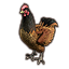 Pollo de Navire Icon