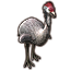 Быстроножка из залива Олиис Icon