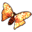 Phoenix Moth icon