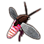 Pink Torchbug icon