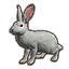 Белоснежный кролик icon