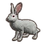 Furniture icon for lièvre poudré