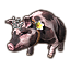 Венценосная свинья icon