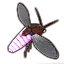 Furniture icon for Luciérnaga púrpura